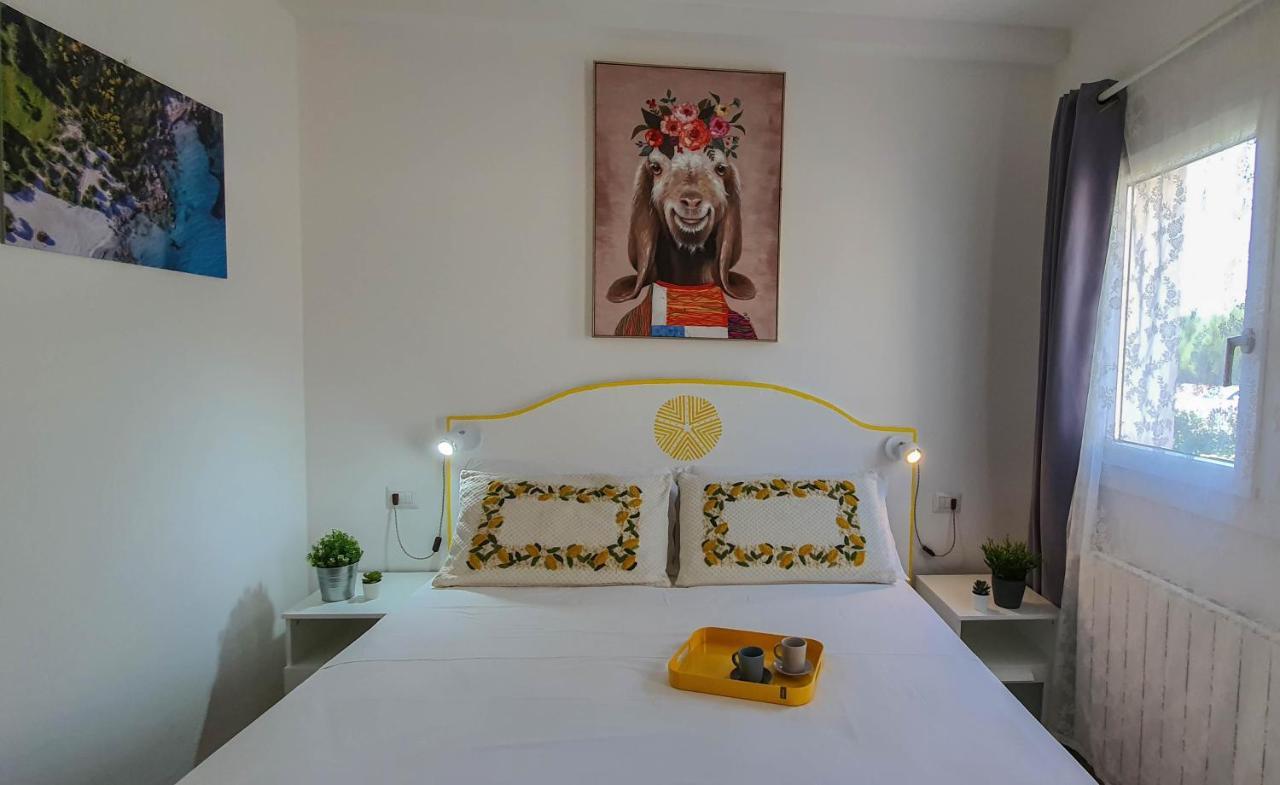 B&B Biddanoa Όλμπια Εξωτερικό φωτογραφία