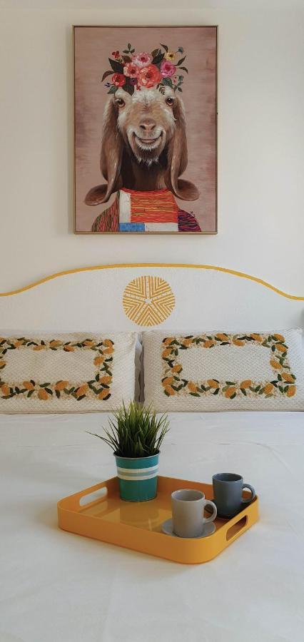 B&B Biddanoa Όλμπια Εξωτερικό φωτογραφία