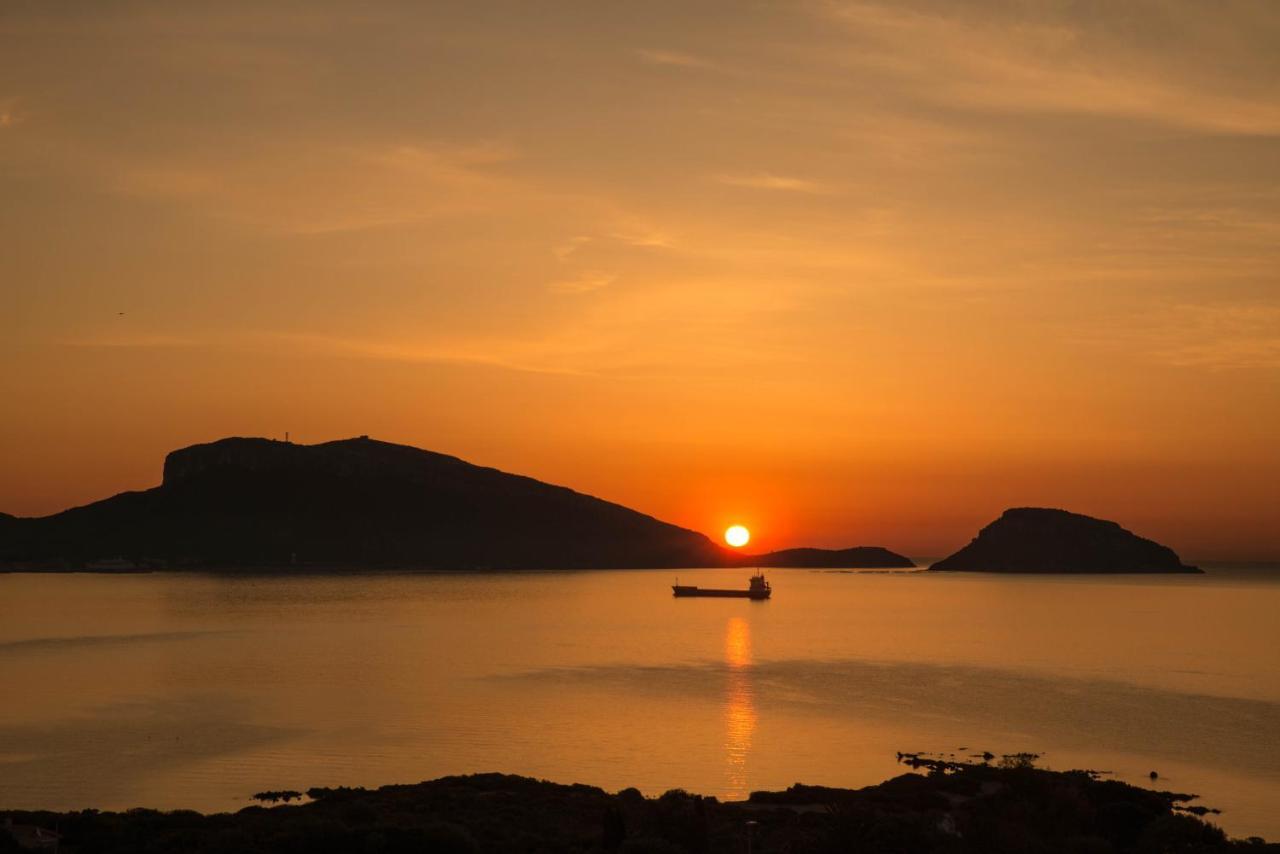 B&B Biddanoa Όλμπια Εξωτερικό φωτογραφία
